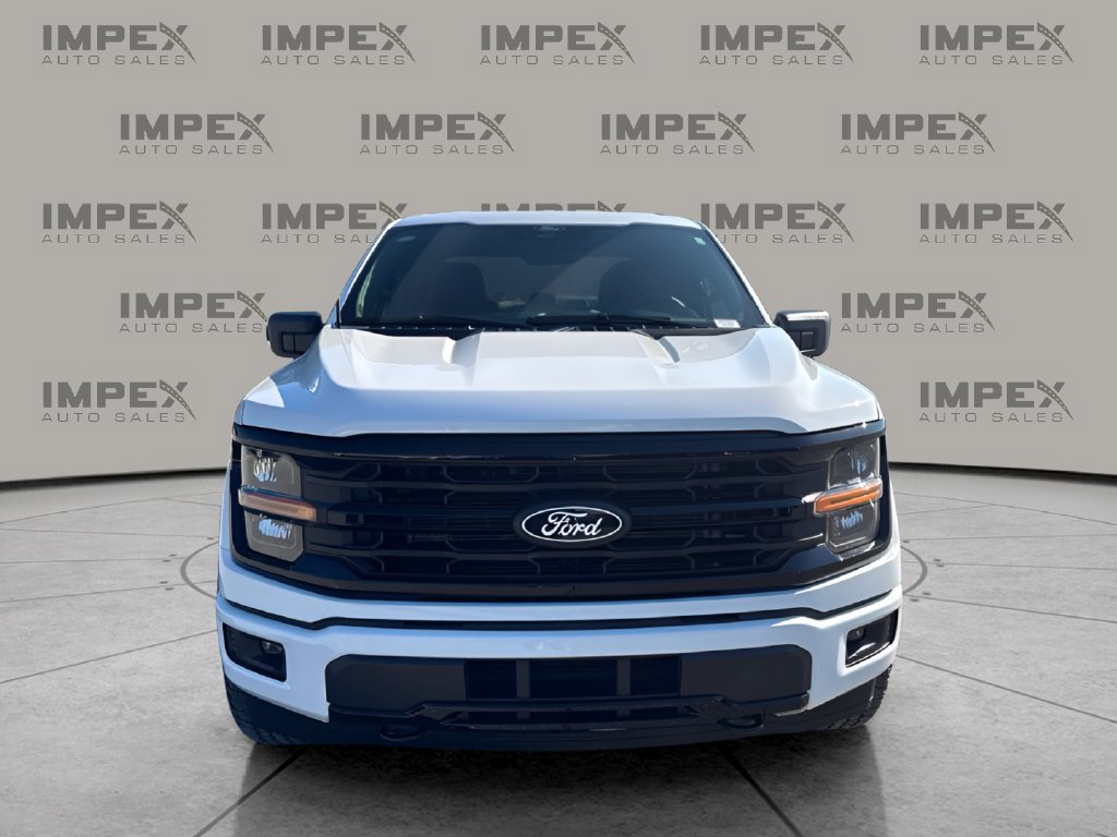 Used 2025 Ford F150 XLT w/ Equipment Group 301A Standard AWD/4WD image 8