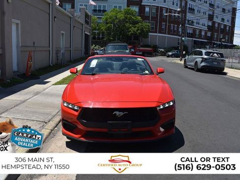 Used 2024 Ford Mustang Convertible RWD image 2