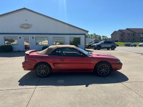 Used 1998 Ford Mustang GT RWD image 5