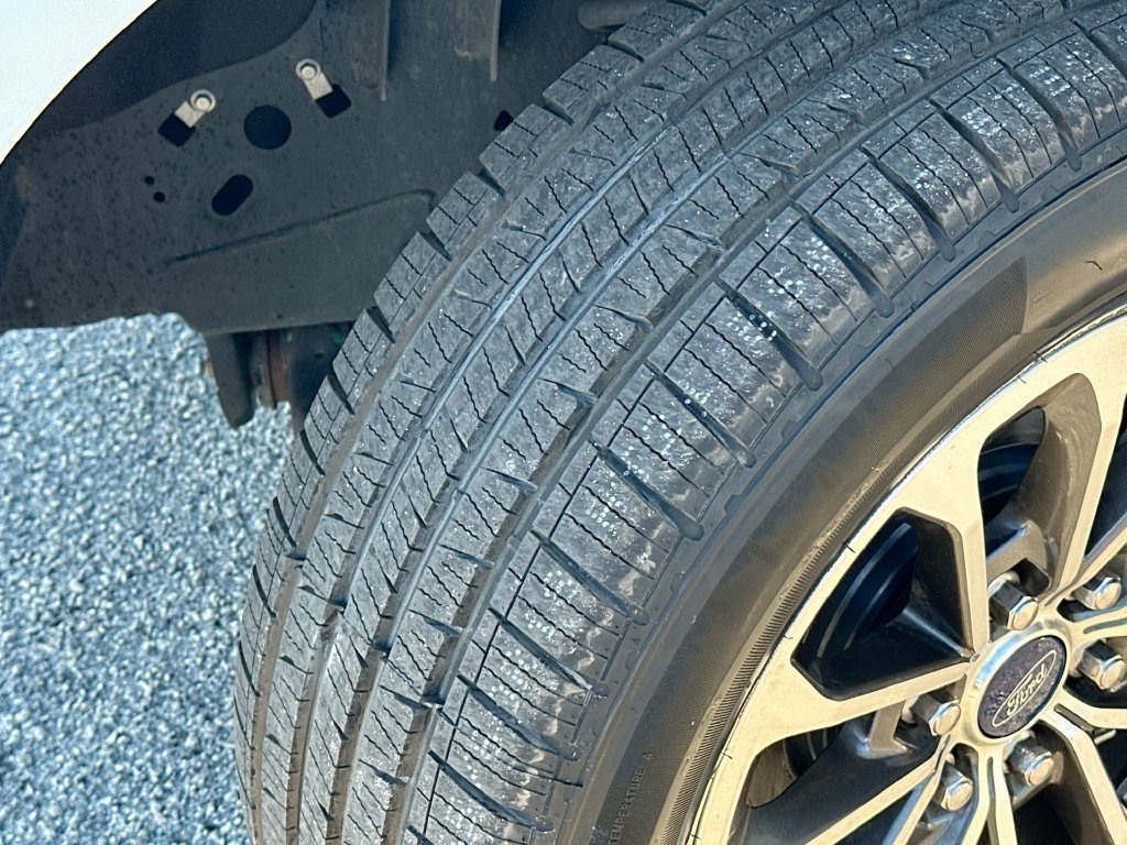 Used 2019 Ford F150 XLT w/ Equipment Group 302A Luxury RWD image 25