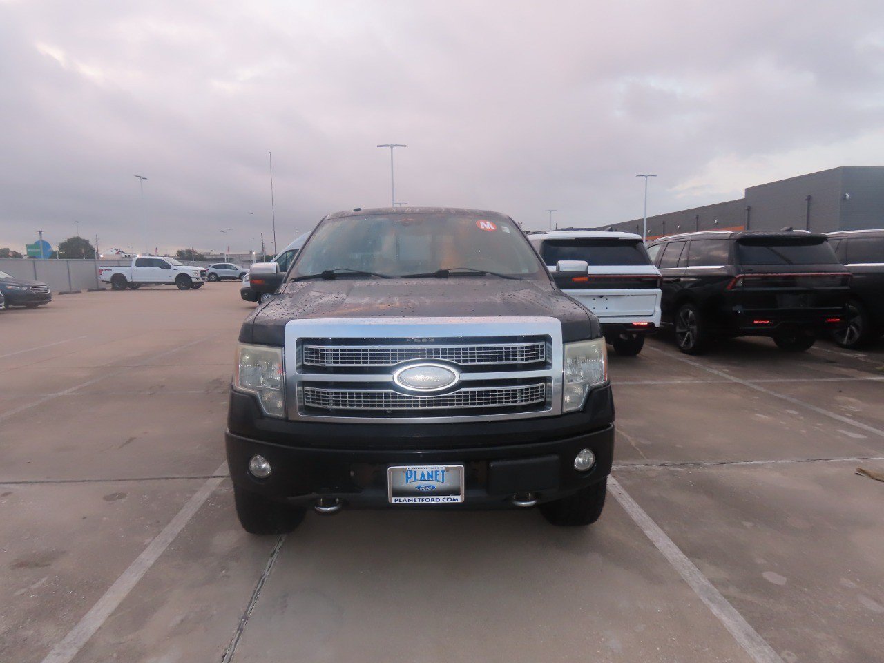 Used 2009 Ford F150 Platinum AWD/4WD image 5