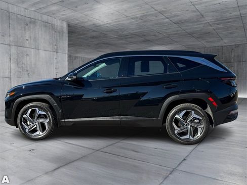 Used 2023 Hyundai Tucson Limited image 3