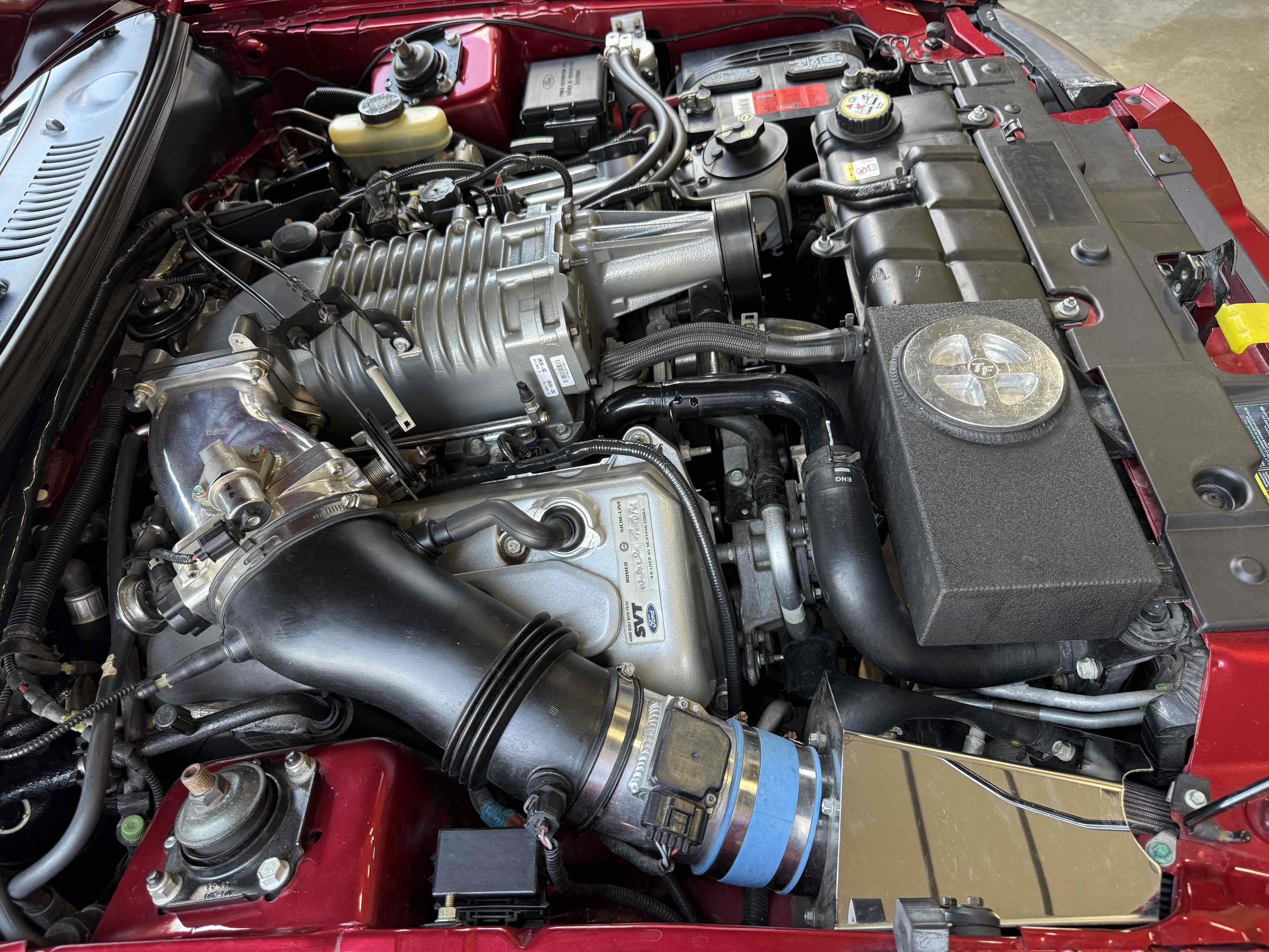 Used 2003 Ford Mustang Cobra RWD image 73