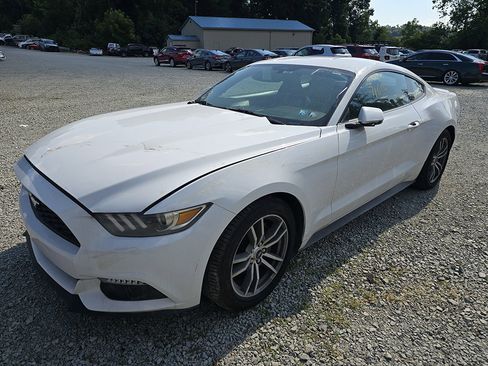 Used 2016 Ford Mustang Premium image 1