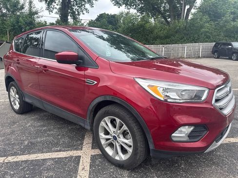 Used 2019 Ford Escape SE AWD/4WD image 1