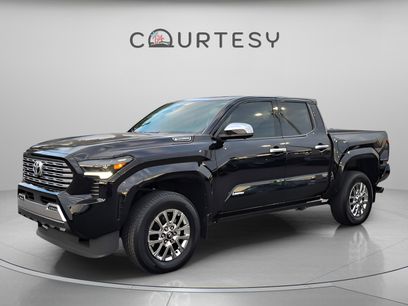 Used 2025 Toyota Tacoma Limited