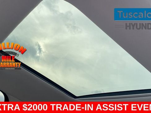 New 2026 Hyundai Palisade Calligraphy image 27