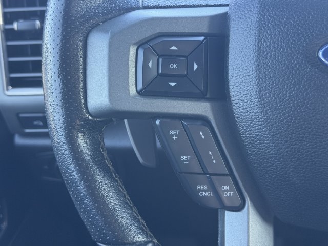 Used 2017 Ford F150 Raptor w/ Equipment Group 802A Luxury AWD/4WD image 28