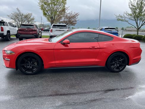 Used 2019 Ford Mustang Coupe w/ Black Accent Package RWD image 8