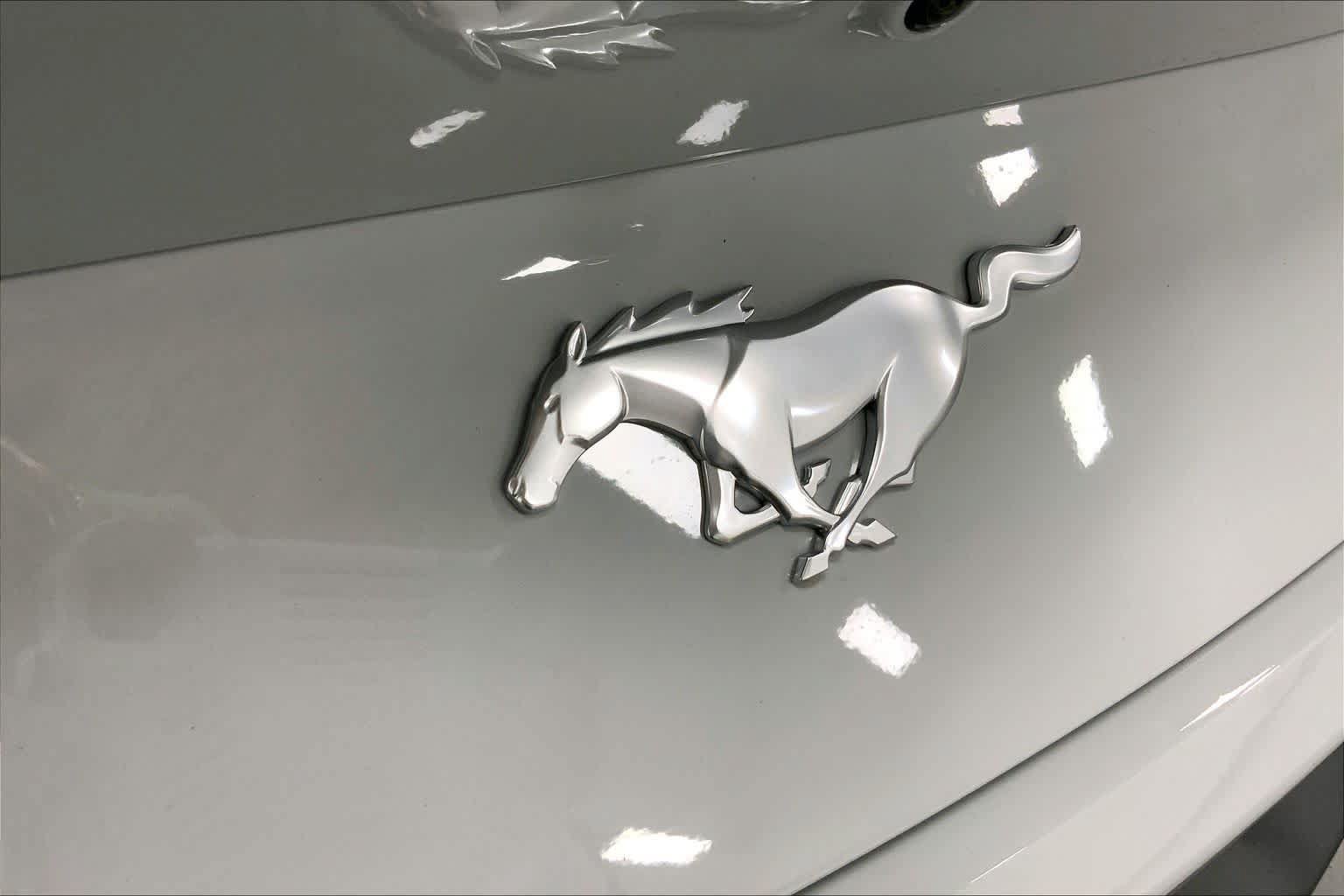 New 2026 Ford Mustang Coupe RWD image 12