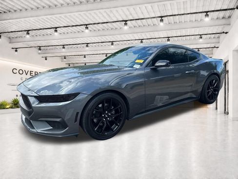 Used 2024 Ford Mustang Premium w/ Mustang Nite Pony Package RWD image 4