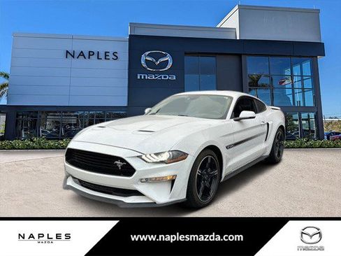 Used 2019 Ford Mustang GT Premium w/ Equipment Group 401A image 1