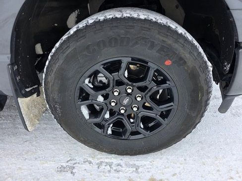 Used 2024 Ford F150 XLT w/ Equipment Group 302A MID image 5