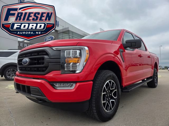 Used 2023 Ford F150 XLT w/ Equipment Group 302A High AWD/4WD image 1