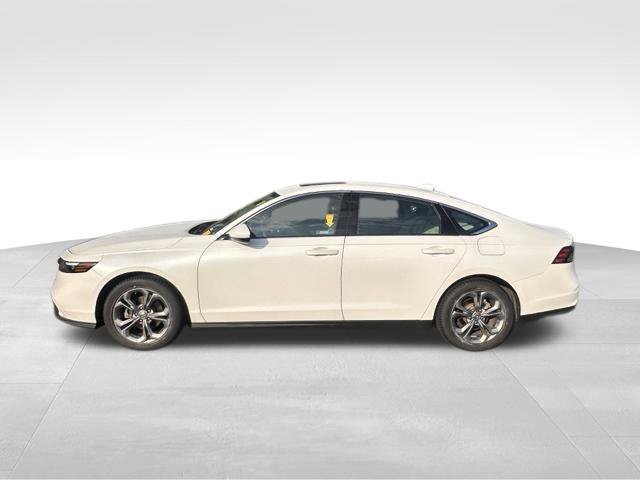 Used 2024 Honda Accord EX image 3