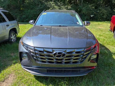 Used 2023 Hyundai Tucson Limited AWD/4WD image 2