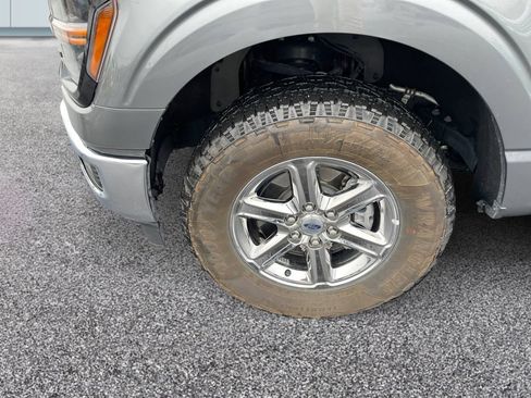 Used 2025 Ford F150 XLT w/ Equipment Group 301A Standard AWD/4WD image 12