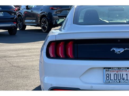 Used 2019 Ford Mustang Premium image 9