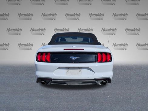 Used 2019 Ford Mustang Premium image 9