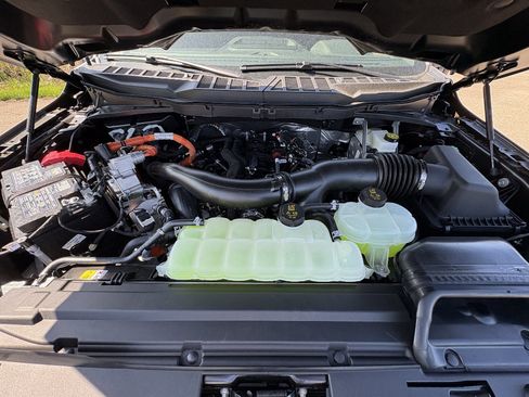 New 2026 Ford F150 XLT AWD/4WD image 13