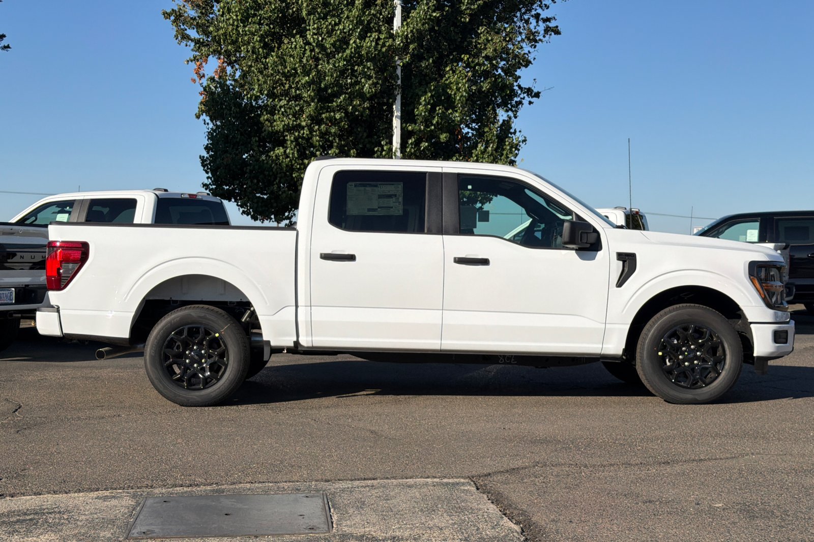 New 2026 Ford F150 STX RWD image 3