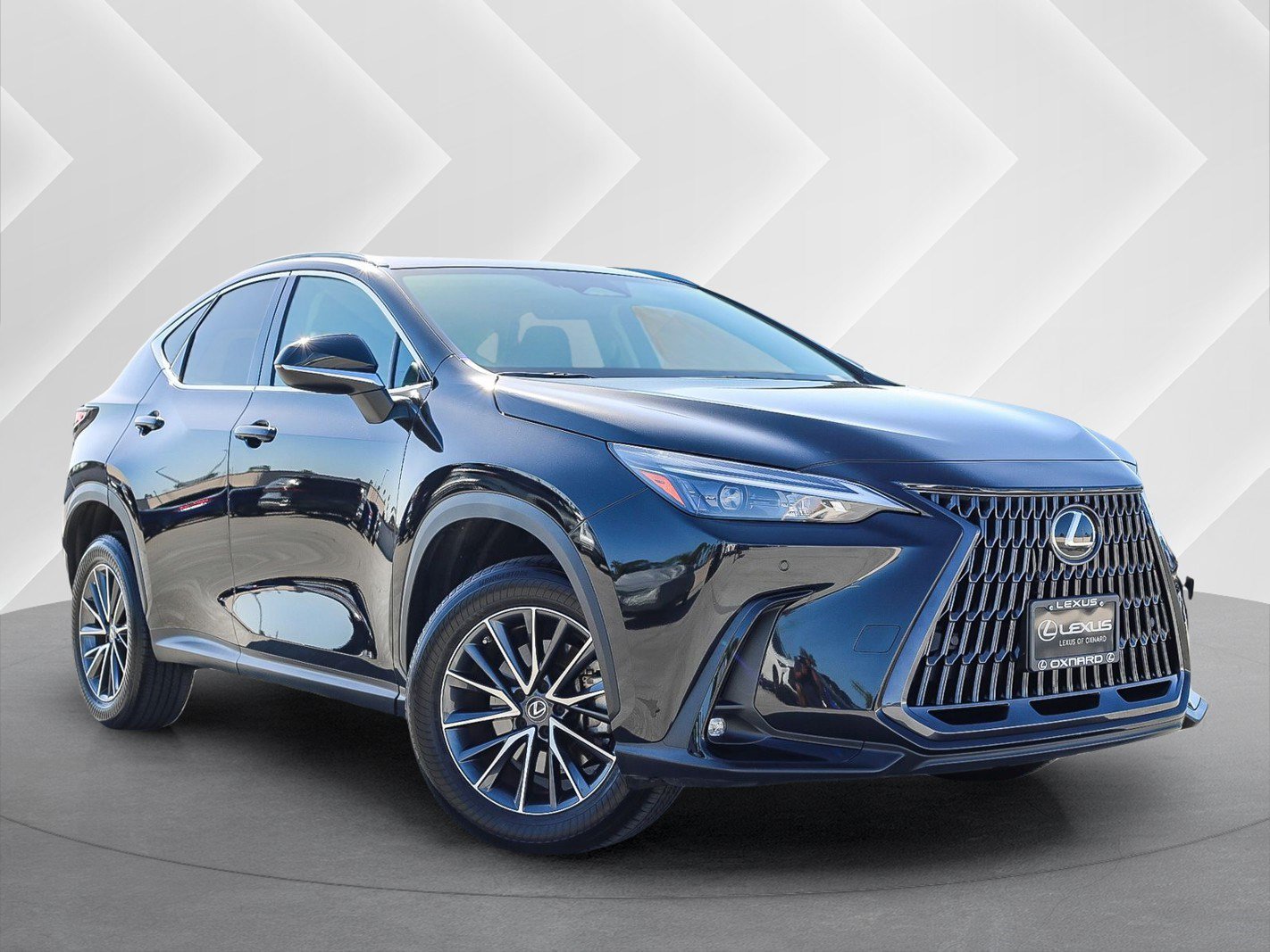 Used 2022 Lexus NX 350 AWD image 1
