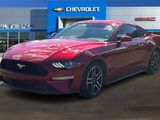 Used 2021 Ford Mustang Coupe w/ Equipment Group 101A image 3