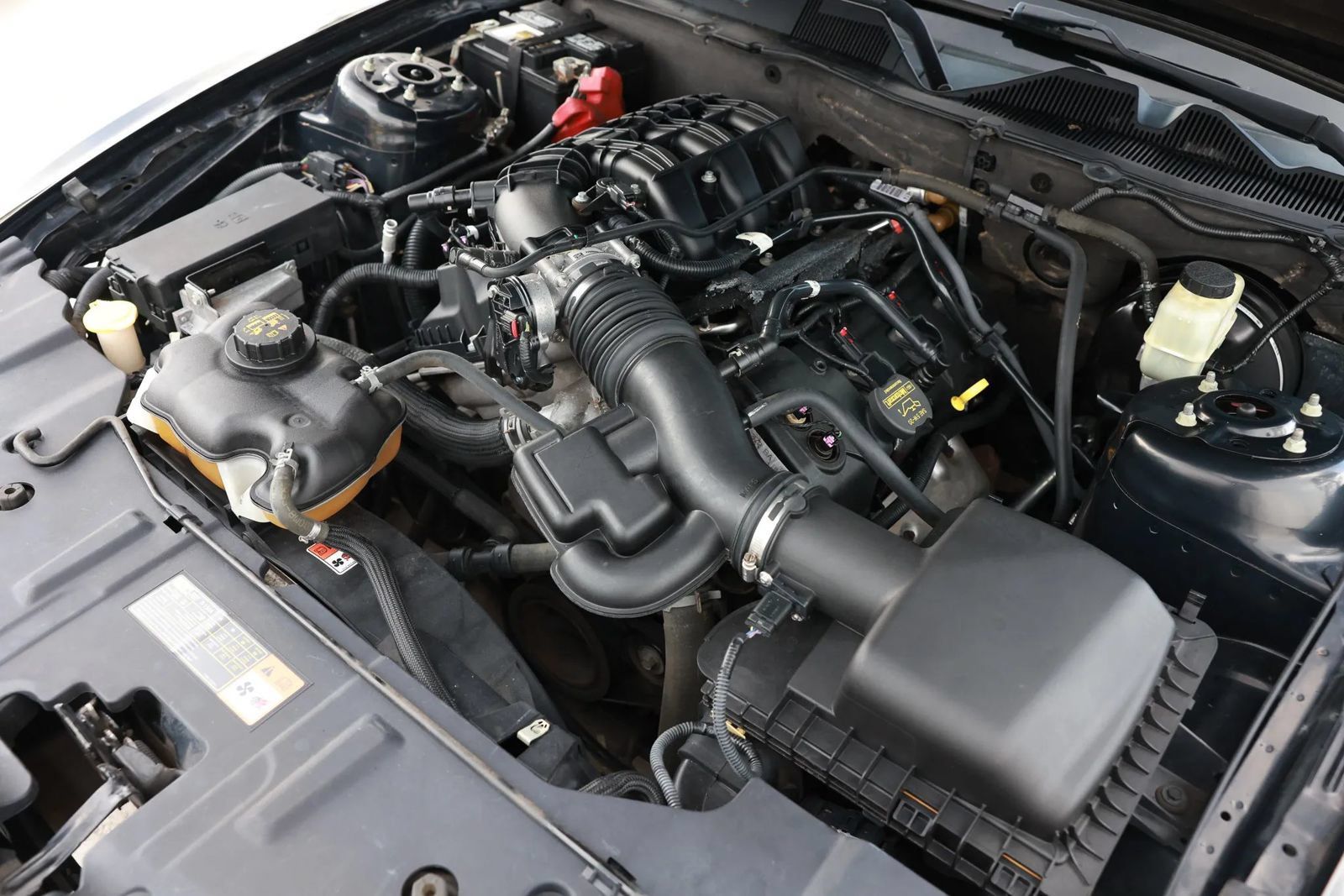 Used 2014 Ford Mustang Coupe w/ Equipment Group 102A RWD image 47
