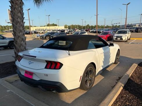 Used 2024 Ford Mustang Convertible RWD image 18