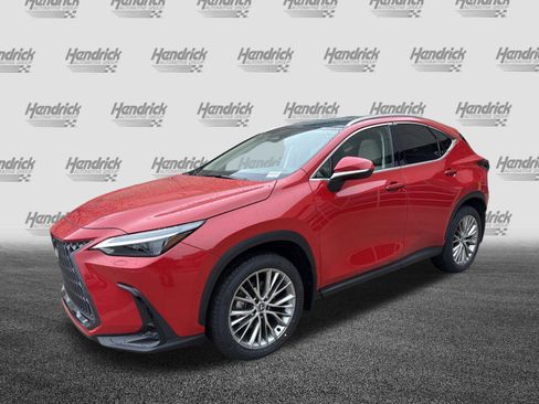 Certified 2025 Lexus NX 350 AWD w/ Cold Area Package image 5