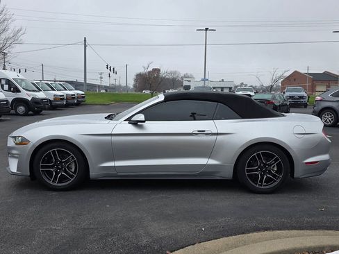 Used 2019 Ford Mustang Premium image 12