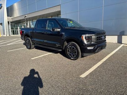 New 2025 Ford F150 XLT w/ Equipment Group 301A Standard