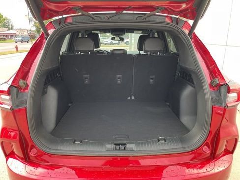 Certified 2023 Ford Escape ST-Line Elite image 12