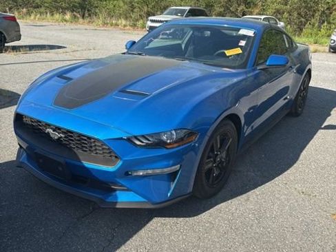 Used 2019 Ford Mustang Coupe image 1