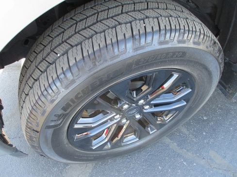 Used 2025 Ford F150 XLT w/ Equipment Group 302A MID image 12