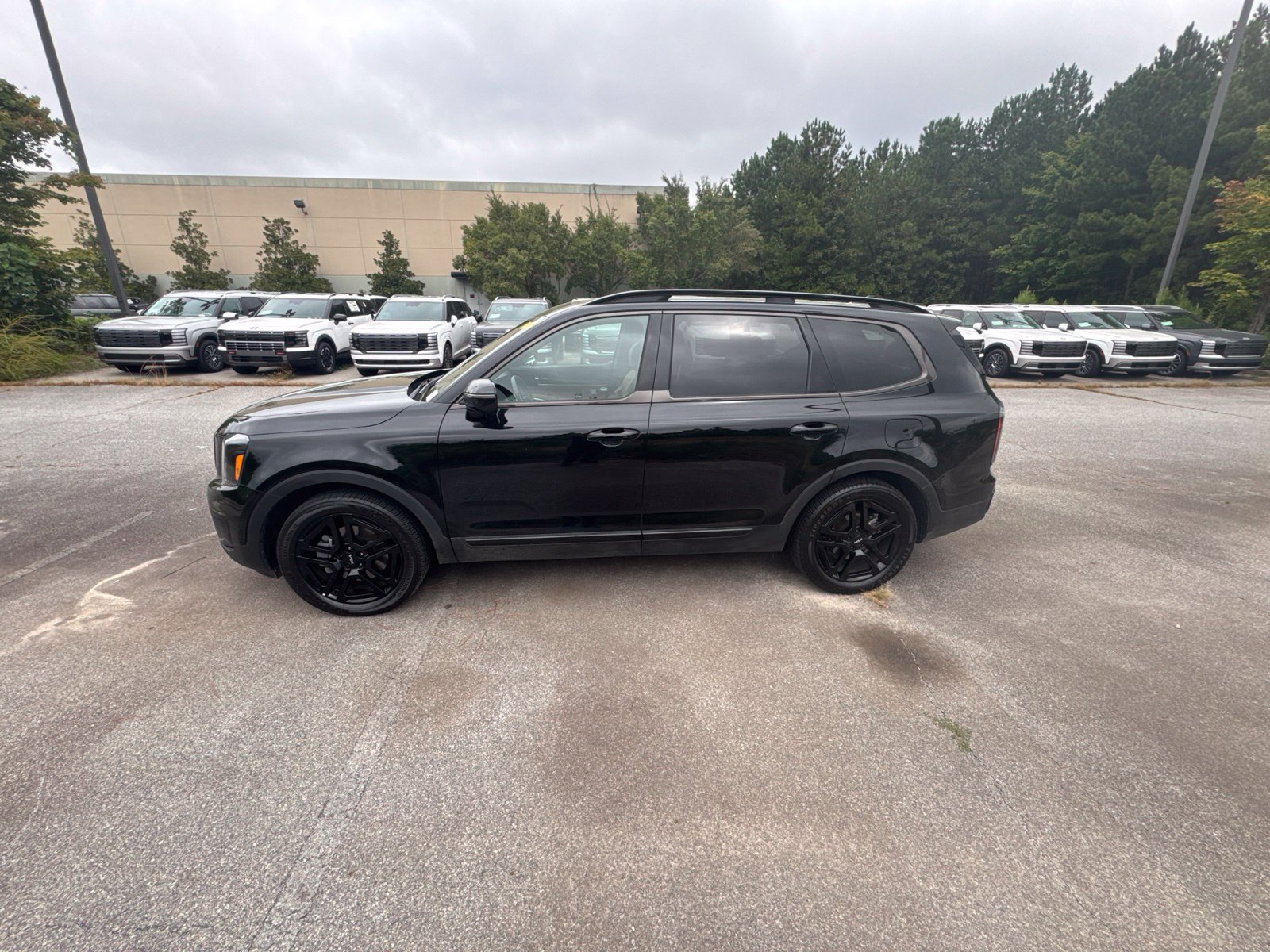 Used 2024 Kia Telluride SX X-Line AWD/4WD image 2