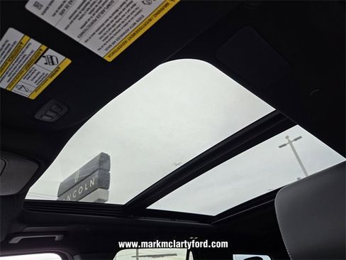 New 2025 Ford Expedition Platinum w/ Stealth Performance Package image 6