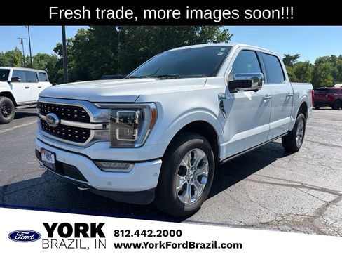 Used 2023 Ford F150 Platinum w/ Equipment Group 701A High AWD/4WD image 1