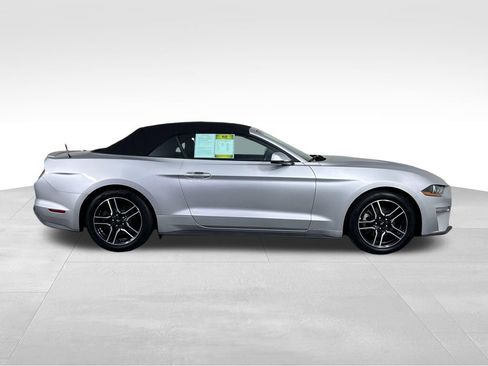 Used 2019 Ford Mustang Premium RWD image 5