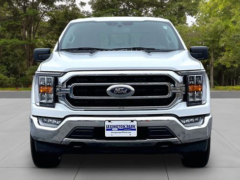 Used 2023 Ford F150 XLT w/ Equipment Group 302A High image 2