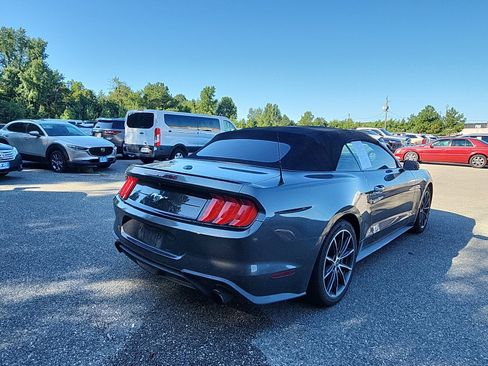 Used 2019 Ford Mustang Premium w/ Equipment Group 201A RWD image 5