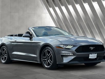 Used 2023 Ford Mustang Premium
