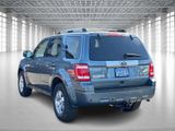 Used 2011 Ford Escape Limited image 4