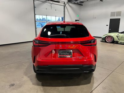 Used 2025 Lexus NX 300h NX 350h Luxury