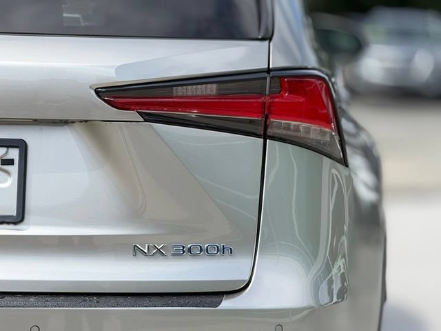 Used 2020 Lexus NX 300h AWD w/ Premium Package image 6