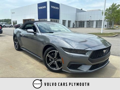 Used 2025 Ford Mustang Premium RWD image 1