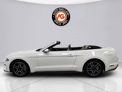 Used 2022 Ford Mustang Premium image 13