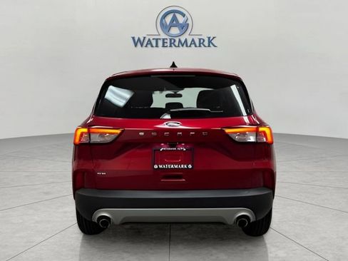 Used 2022 Ford Escape SE w/ Convenience Package image 4