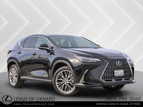 Used 2025 Lexus NX 350 AWD w/ Premium Package image 1