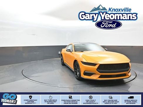 New 2026 Ford Mustang Coupe w/ Mustang Nite Pony Package RWD image 1